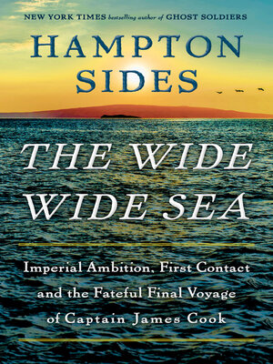cover image of The Wide Wide Sea